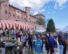 also in the next weekend Moncalieri confirms itself as the city of greenery – TravelEat