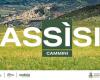 Yes Assisi to promote the city’s tourism at 360 degrees – Umbria