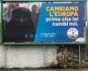 Polesine Progressista against the League’s posters: It creates enemies because it has nothing to offer