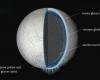 Identifying cells in Enceladus’ ice grains