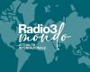 Radio3 World | S2024 | Academic freedoms in the USA | Stormy Daniels, stormy weather for Trump | Brainwaves for sale | Rai Radio 3