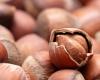 Coconut supply chain, innovation and strategies for the future in Cherasco (Cuneo) – Agenfood
