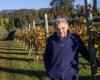 Entrepreneur died in Pinzano. Farewell to Emilio Bulfon, guardian of ancient vines. What he did in life is truly special