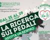Torre S.Susanna: The Pedal Research begins on April 25th. All the stages and details
