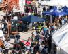 THE AGRICULTURE FAIR IN TERAMO KICKS OFF: OVER 200 EXHIBITORS FROM ALL OVER ITALY PRESENT | Current news