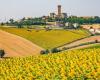 What to see Montefano among expanses of sunflowers, this village in the Marche amazes every year
