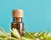 Rosemary oil as a remedy for hair loss: does it work?