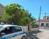 Dog excrement, the local police of Modica fines 16 people – Giornale Ibleo
