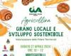 Territorial supply chains at the center of the Cia Umbria debate at Agricollina