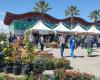 Florviva Flower Exhibition, 150 exhibitors at the tourist port – News from Abruzzo