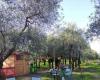 The little crazy people where school takes place in the middle of nature Cerignola project