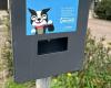 Bags for dogs, empty dispensers almost everywhere in the city. Aprica: «We will provide»