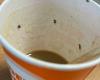 Drinks a coffee from the vending machine with colleagues, 21-year-old girl in intensive care: contaminated cup, anaphylactic shock