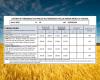 Durum wheat, prices unchanged (24 April) on the Foggia Commodity Exchange. Fino remains at 350-355 euros per ton
