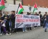 The pro-Palestine student collectives in front of the La7 studios: “Parenzo, let us come up”
