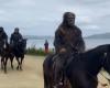 Kingdom of the Planet of the Apes: Monkeys spotted on horseback in San Francisco | Cinema