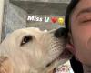 Fedez and the nostalgia of the dog Paloma: he posts a photo with a “kiss”, Chiara Ferragni responds with a caress
