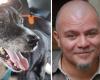 Matteo Cornacchia died at work at the age of 47, his dog Willy, left alone, is looking for a home: the appeal on social media