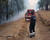 Fires, Civil Protection inter-force exercise tomorrow in Casaboli – Monreale News