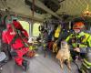 The fire dog unit and helicopter rescuers train at Campo dei Fiori