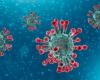 The case of the patient who died after being positive for Coronavirus for almost two years