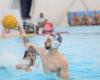 Men’s A2 series water polo, Vela Ancona on Saturday at home in Bologna against Canottieri – WATERPOLO PEOPLE