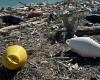 The beach of Fiorenzuola di Focara was cleaned, three tons of waste collected