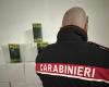 Naples flooded with counterfeit extra virgin olive oil: 900 kg seized