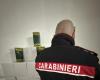 CAIVANO. Counterfeit olive oil, police seize 900 liters