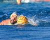 Water polo, dominance of Pro Recco: clear victory in game 1 of the semi-final against Ortigia