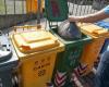Waste, the Priula Consortium blocks tariffs: «No increase for protected families»