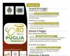 Torremaggiore: from 3 to 5 May 2024 the gold of Puglia and Frederick II