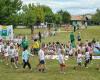 Treviso. Summer camps underway, registrations open: «Minimum price increases»
