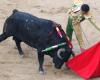 Spain announces the cancellation of the National Prize for bullfighting: thus the debate on bullfighting is reignited