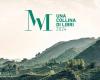 A Hill of Books. Authors from all over the world return to the Prosecco Hills of Conegliano and Valdobbiadene | Bellunopress