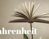 Fahrenheit | S2024 | The book of the day | Matteo Lazzarin, Kronenberg’s last spring, Garzanti | Rai Radio 3