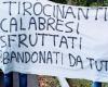 The “charge” of the 4200 Calabrian interns, an army of temporary workers mobilizing in Catanzaro | Calabria7