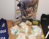 Drug trafficking, 38 arrests (one also in the province of Pavia). Illicit profits of over 10 million euros