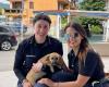 Roccapiemonte, abandoned on the street, dog risks death saved by police