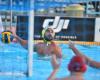 Serie A1, game 2 of the playoff semi-final and playout: the results. The final will be Pro Recco-RN Savona. De Akker in Europe – WATERPOLO PEOPLE
