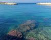 Clean sea in Giovinazzo. Arpa Puglia certifies it