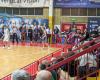 Basketball, sports judge: sanction to Pavia fans, next opponent of AZ Saronno