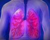 Respiratory diseases on the rise, pulmonologists in Parma for the regional conference
