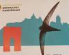 “The birdlife of the port of Ancona – compared experiences”, nature walk and conference at the Mole