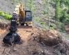 New garrison in Velletri against the deforestation of Monte Artemisio: the Forest Protection Committee is mobilizing