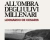 MONTECELIO – Photographic exhibition of Leonardo De Cesaris at the Lanciani Museum: all the info –