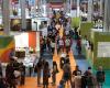 The 2024 Fair arrives, among the stands Piedmont shows off a heritage of 4,000 companies and over 16 thousand employees – Turin Today