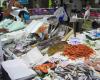 fish market, ambush on the entrepreneur, new responsibilities recognized in the Appeal appear