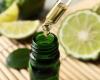 Aromatherapy in the sun: the hidden virtues of bergamot essential oil