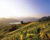 The 8 best Lake Caldaro wines chosen by Gambero Rosso